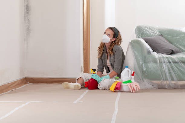 Reliable Mold Cleanup contractor in Linden, AZ by WQB Mold Removal